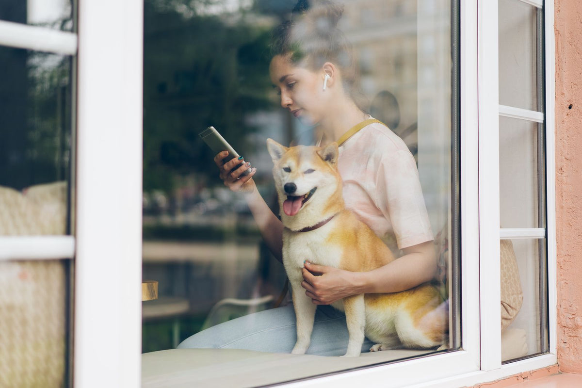 Femme à la fenêtre avec son shiba